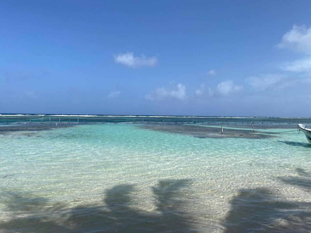 Hotel Blue Reef Frente Al Mar มาอาอวล ภายนอก รูปภาพ