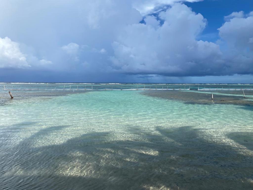 Hotel Blue Reef Frente Al Mar มาอาอวล ภายนอก รูปภาพ